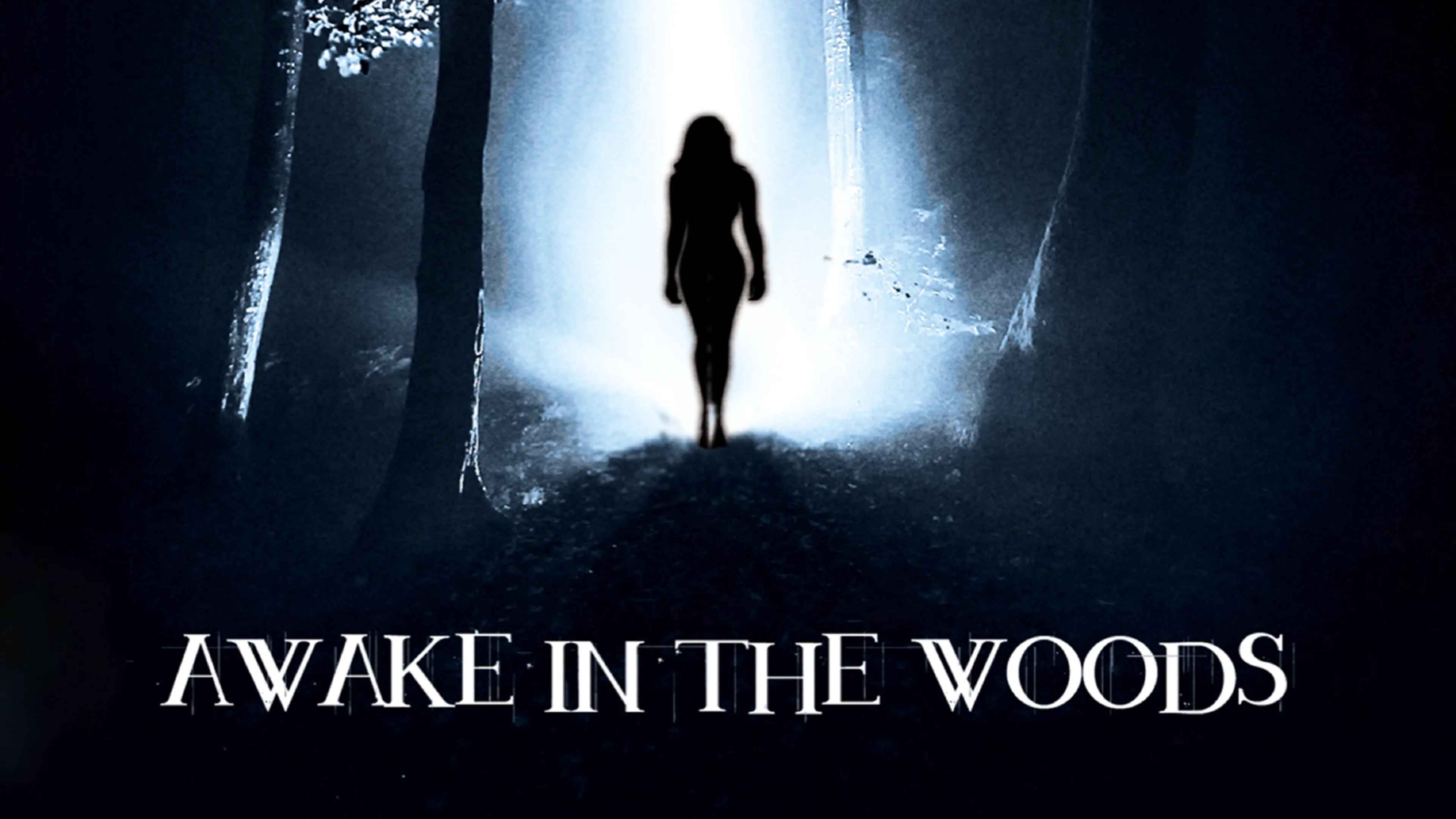 Awake in the Woods poster
